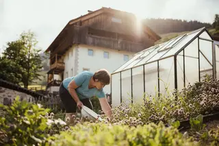 Orto di verdure della casa